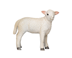 �q�c�W�i�e�j