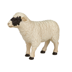 �N����q�c�W�i���X�j