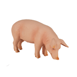 �u�^�i�I�X�j