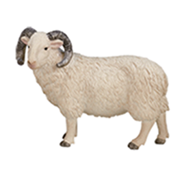 �q�c�W�i�I�X�j