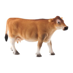 �W���[�W�[��