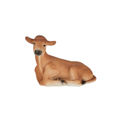 �W���[�W�[���i�e�j