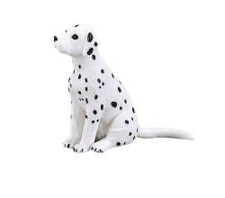 �_�����V�A���i�e�j