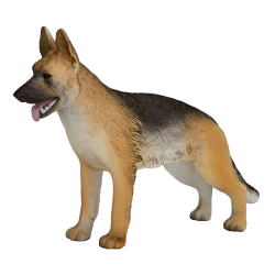 �V�F�p�[�h