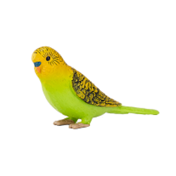 �Z�L�Z�C�C���R�i�O���[���j