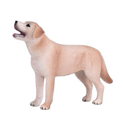 ���u���h�[��