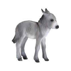 ���o�i�e�j